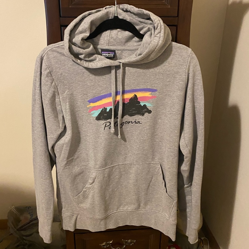 Woman’s Patagonia gray medium hooded sweatshirt.